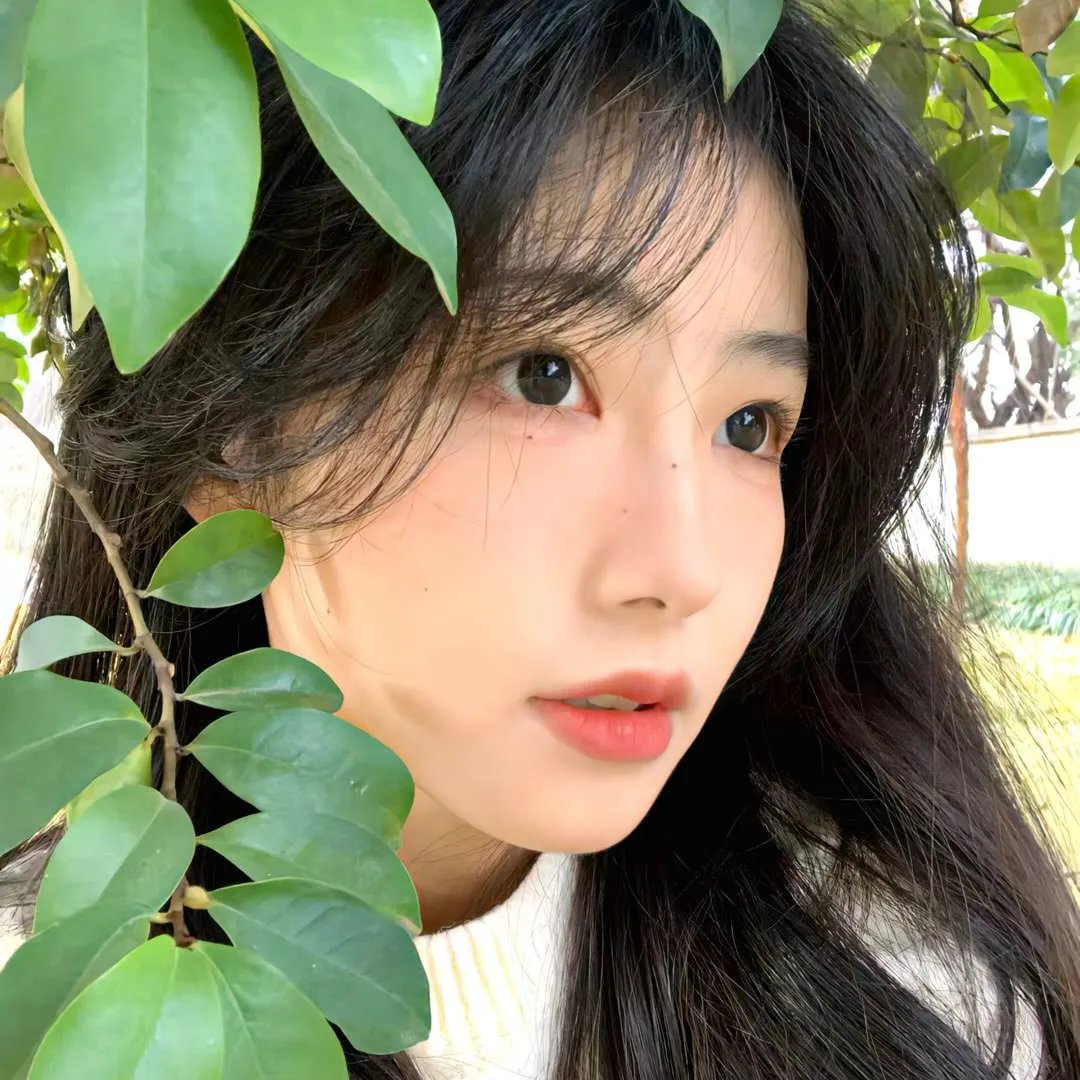 彩云妃子