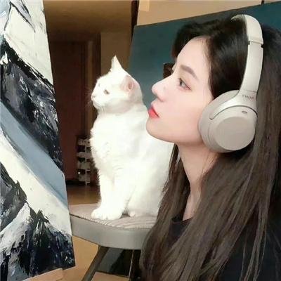 黑色丛林